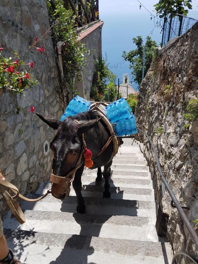 Estate4Home - Goat Path 波西塔諾 外观 照片